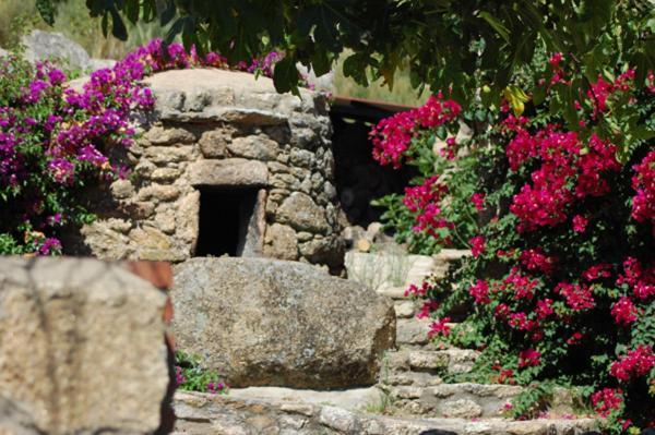 Casa Rural Virgen De La Cabeza Hostal Valencia de Alcántara Exterior foto